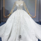 2023 Women's Lace Tulle Lace Long Sleeves A-line Wedding Dresses for Bride with Train Wedding Appliques Selina202342709