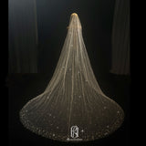 Luxury Long Train Wedding Veil Long Bridal Veil 2022 selina2022531117