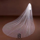 Luxury Long Train Lace Wedding Veil Long Bridal Veil selina202242935