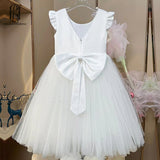 Girls Dress Party Kids Dress selina202252084