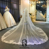 Luxury Lace Long Train Wedding Veil Long Bridal Veil selina202242939